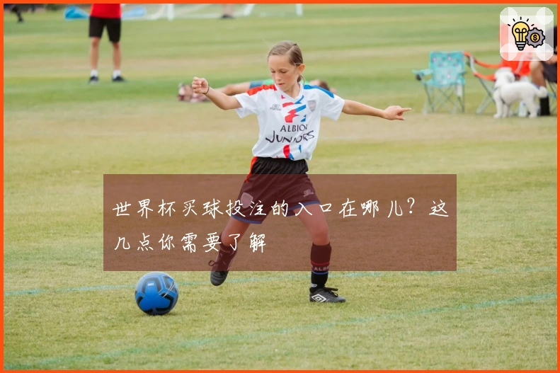 世界杯买球投注的入口在哪儿？这几点你需要了解