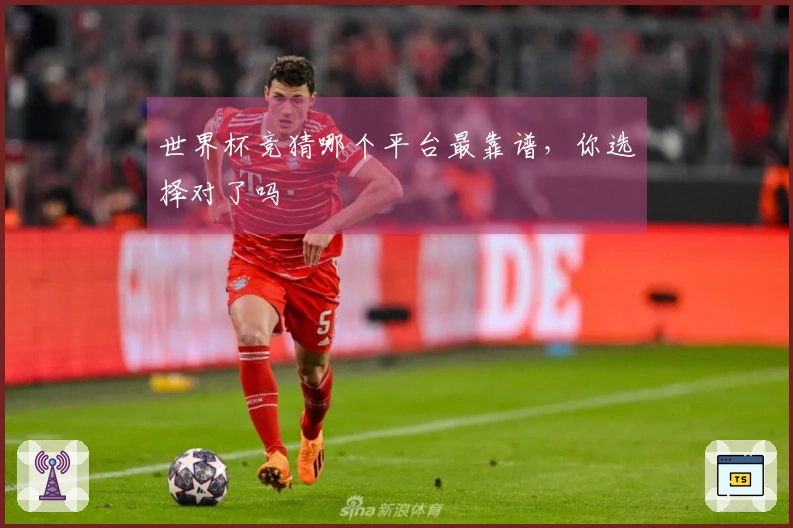 世界杯竞猜哪个平台最靠谱，你选择对了吗